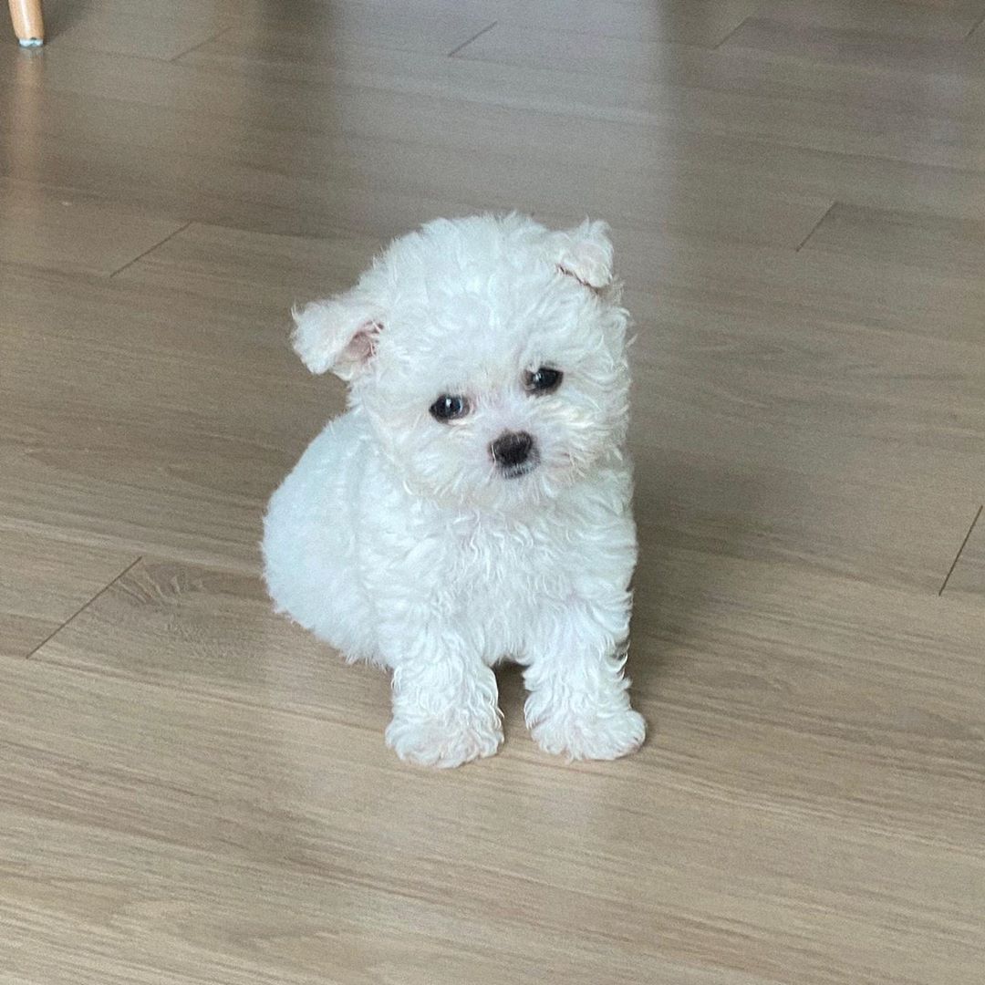 Hill Junge